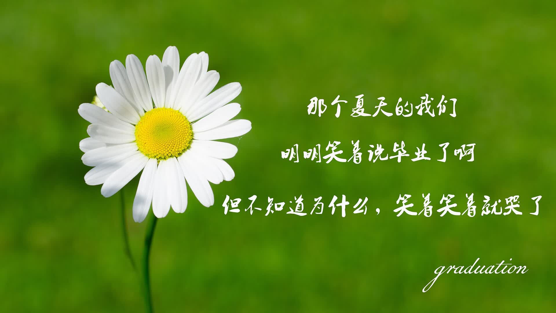 2026 职场男性健身指南：为什么“核心训练”比“撸铁”更能缓解久坐腰痛？