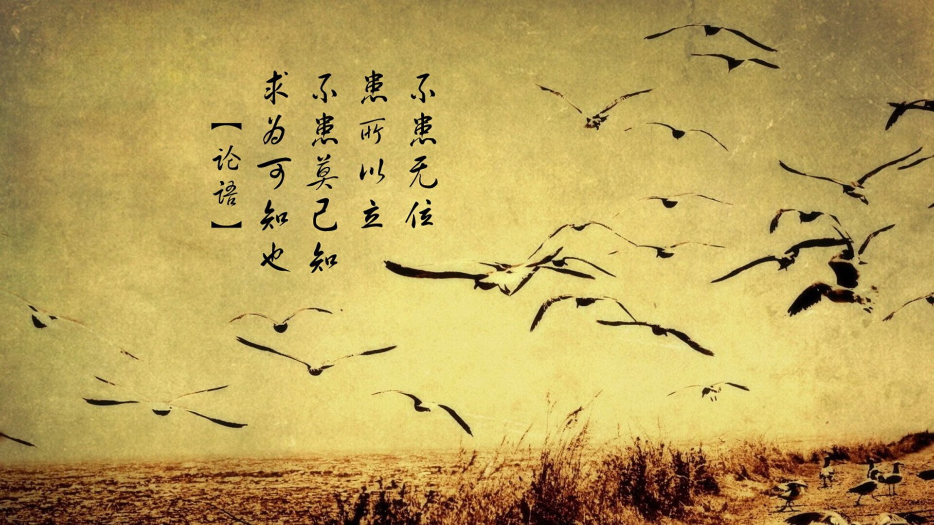 世界帆船赛事气象预报订阅服务优化与价格调整，世界帆船比赛